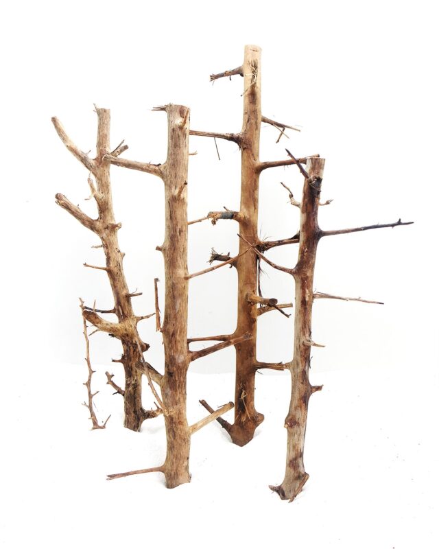 [BOX OF 58 PCS] Long Hands Wood Medium 30-45cm