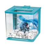 Marina Betta Kit 2.5L - Blue