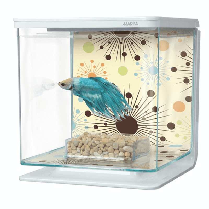 Fluval Marina Betta Kit Boy Fireworks 2L