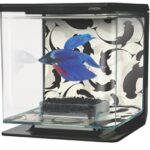 Marina Betta Kit - Ying/Yang 2L