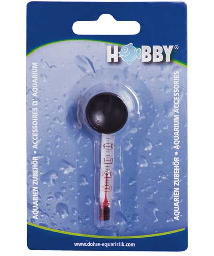 Nano Thermometer