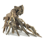 Octopus Wood - Large / 35x30x17cm / BOX