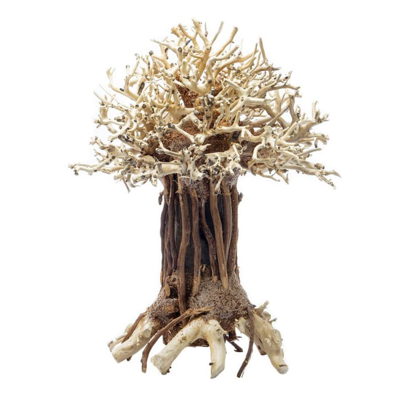 [BOX OF 12 PCS] Pagoda Bonsai Wood Medium 15×20×12cm