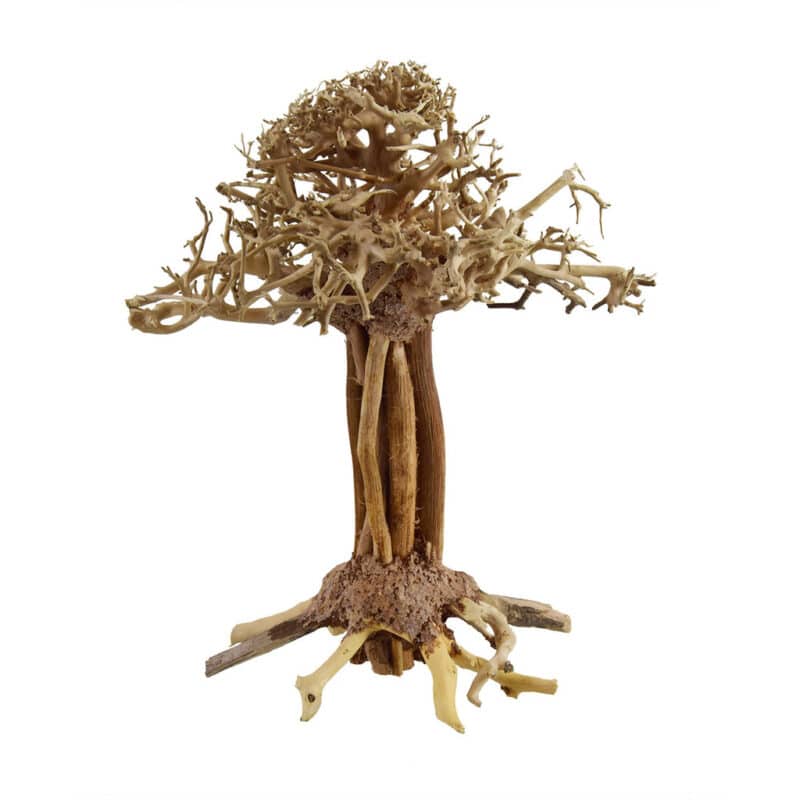 [BOX OF 25 PCS] Pagoda Bonsai Wood Small 10×15×10cm