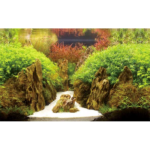 Photo Background Canyon / Woodland 100x50 cm