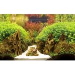 Photo Background Canyon / Woodland 120x50 cm