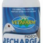 Pigeon Recharge 50ml