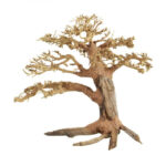 Pine Bonsai Wood - Medium / 30x23x13cm / BOX
