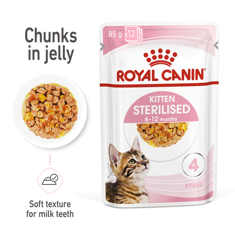 RC kitten wet food in jelly