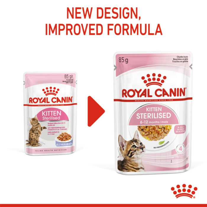 RC kitten wet food in jelly1