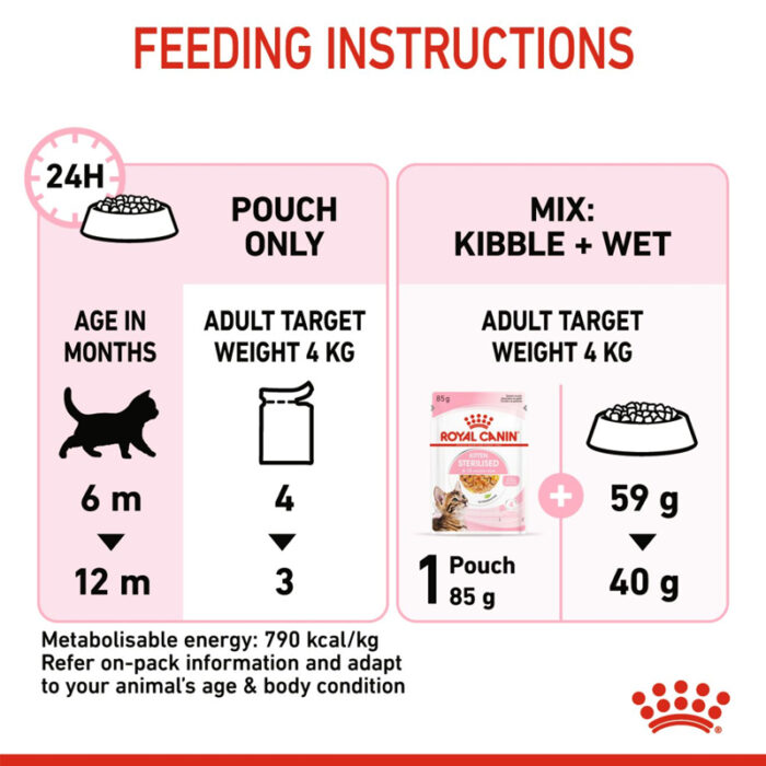 RC kitten wet food in jelly4