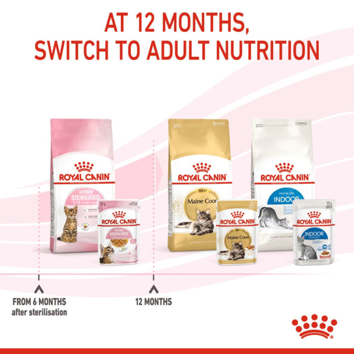 RC kitten wet food in jelly5