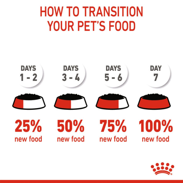 RC kitten wet food in jelly6