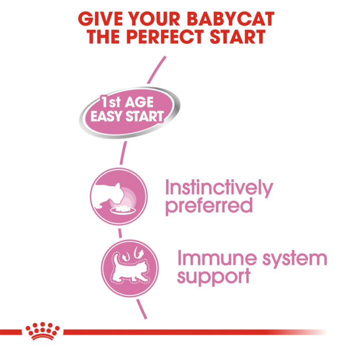 RC mother and bbcat wet3
