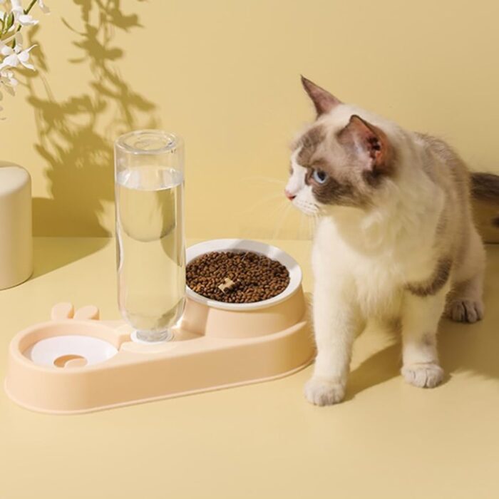 RabbitFeeder10