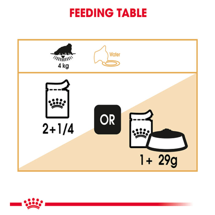 Rc Persian wet food3