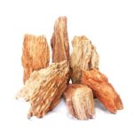 Red Wood Fossil - Small / 12-18CM / box