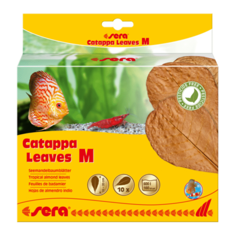 Sera Catappa Leaves Medium 10pcs