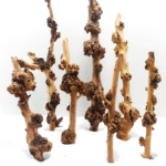 Sava Wood - Small / 20-30CM / box