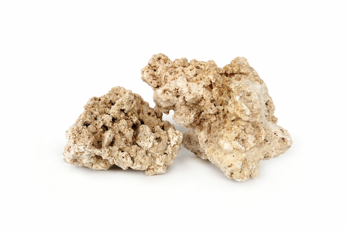 [BOX OF 7 PCS] South Seas Rock Medium
