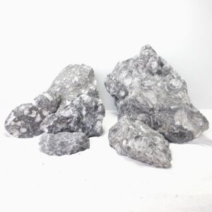 Sunk Jade - Extra Small / 7-10cm approx. 48pcs