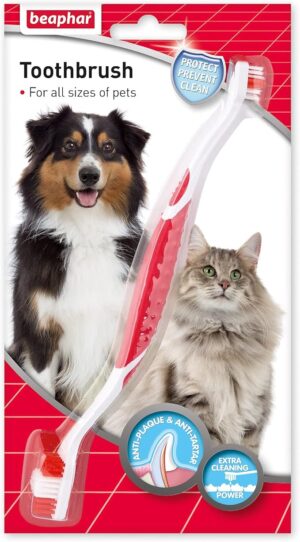 Toothbrush