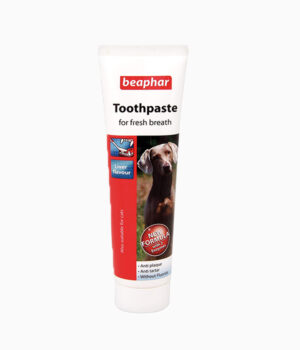 Toothpaste