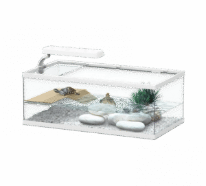 Tortum Turtle Tank 55 x 30 x 20 cm  White