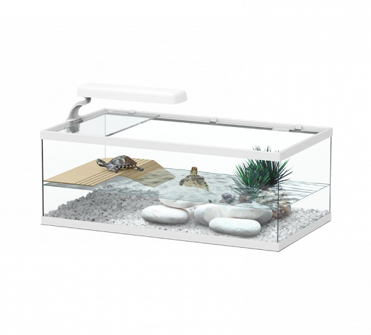 Tortum Turtle Tank 55 x 30 x 20 cm  White