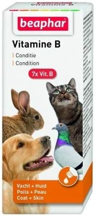 Vitamin B Complex - 50 ml