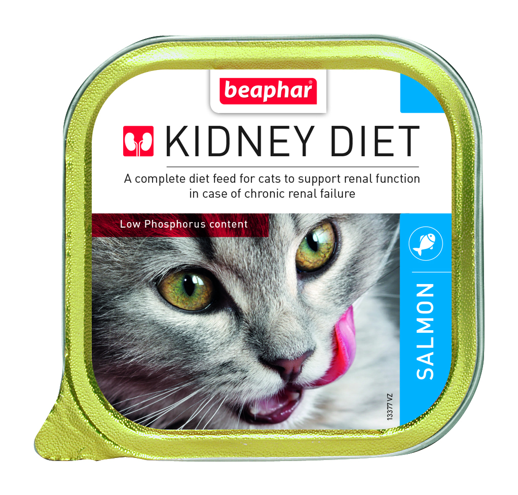 WET FOOD - Kidney/Renal Diet Salmon(16pcs x 100g)