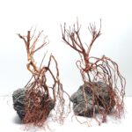 Whiskers Wood - Small / 20-30CM / box