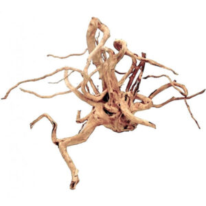 Wood Root - Large / 41-50CM / box