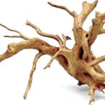 Wood Root - XL / 51-60CM / box