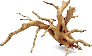 Wood Root - XL / 51-60CM / box