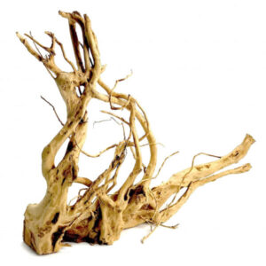Wood Root - XXL / 60-80CM / pc