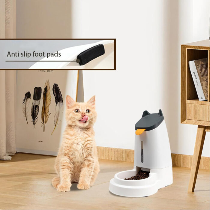 automaticpetfoodfeed4