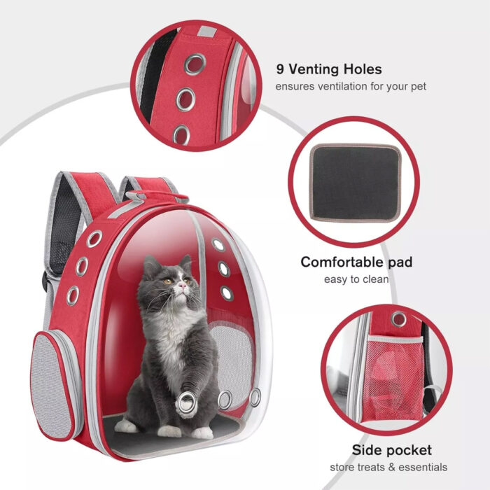 bagcarrier3