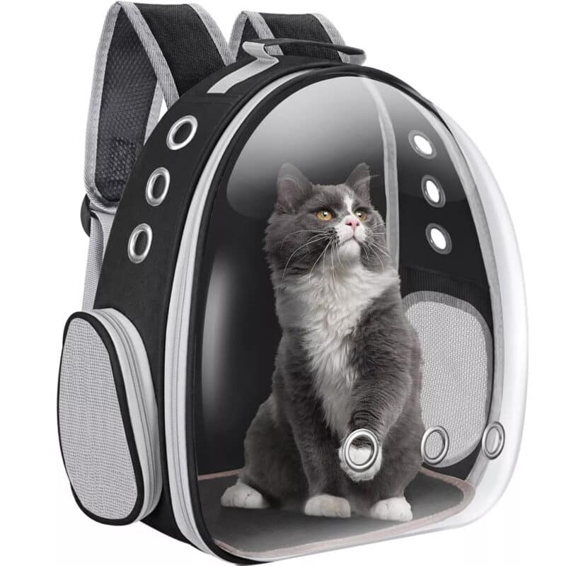 TaraPet Transparent Portable Pet Backpack Travel Carrier, Convenient Travel for Small Dog and Cat (Black)
