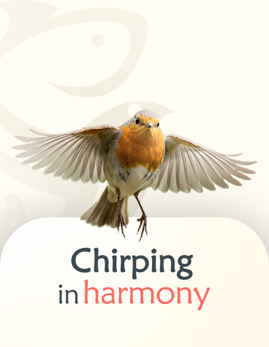 bird category