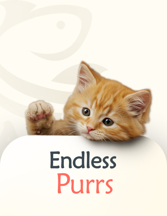 cat category