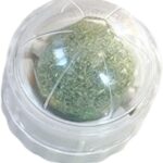 TaraPet Catnip Wall Ball Toy for Cats Stick-on Design Teeth Grinding Freshens Breath Cartoon Style Cat Toy (White)