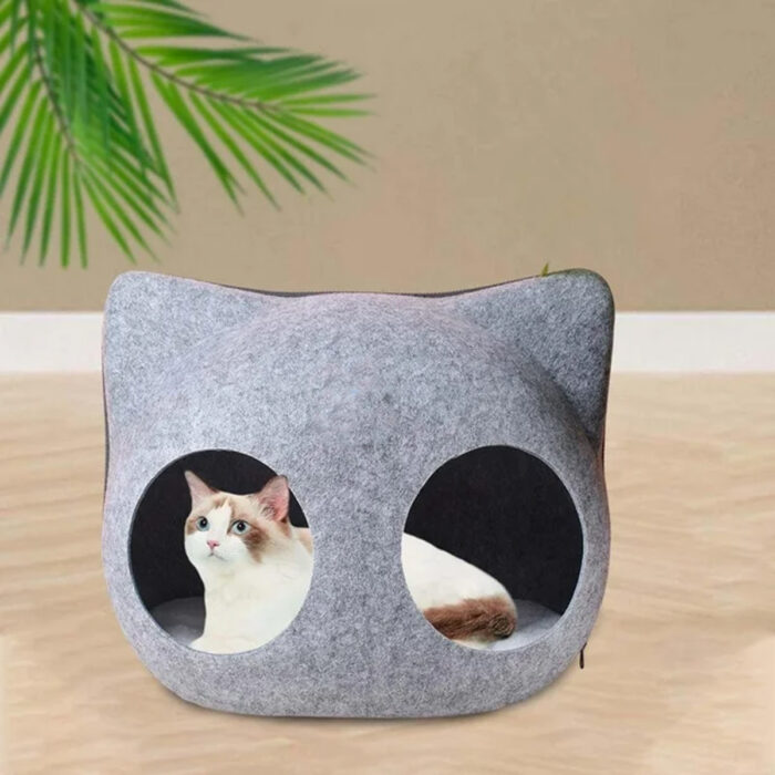 catcave3