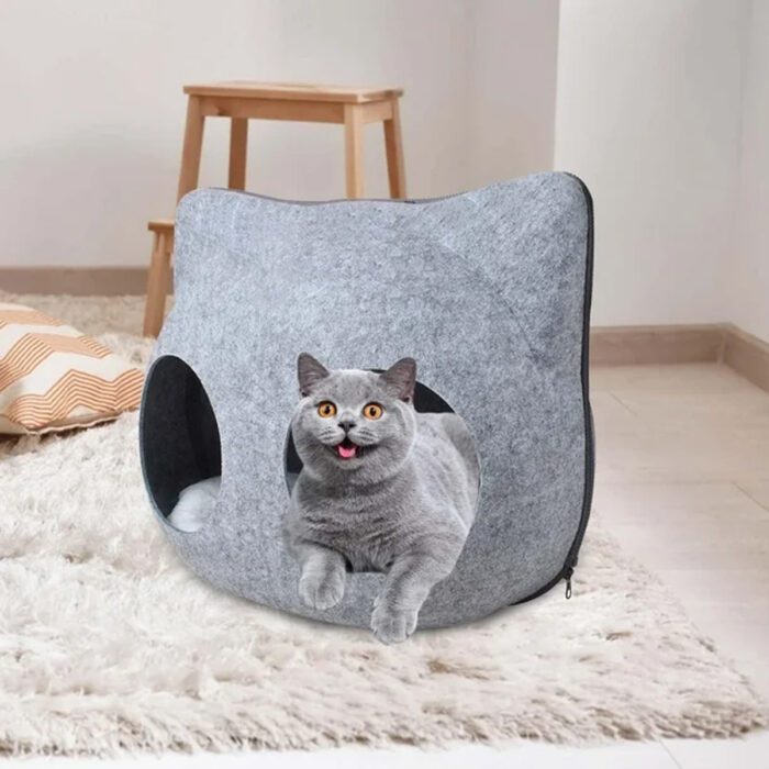 catcave4