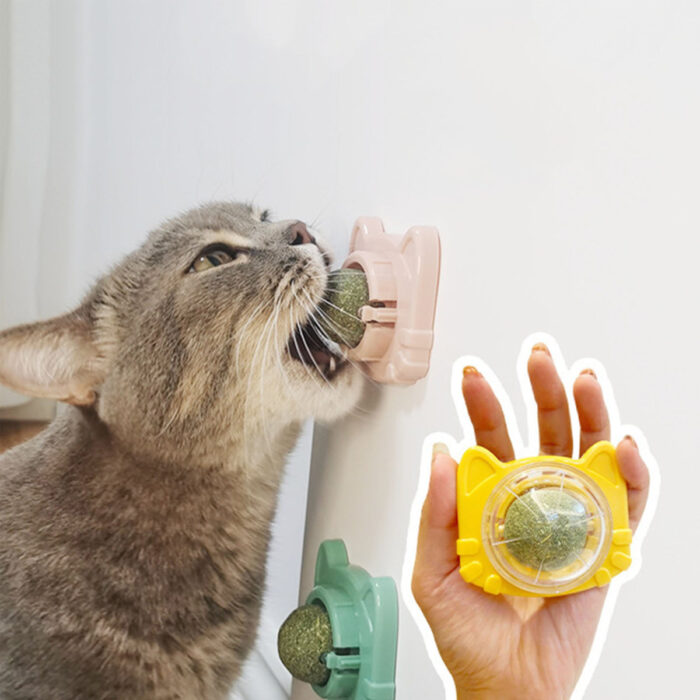 catfacecatnip5