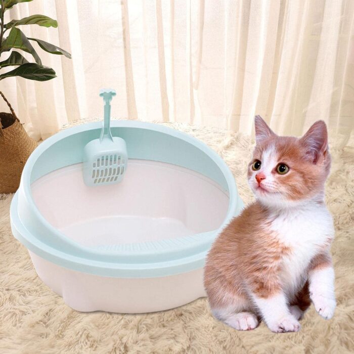 catlit5
