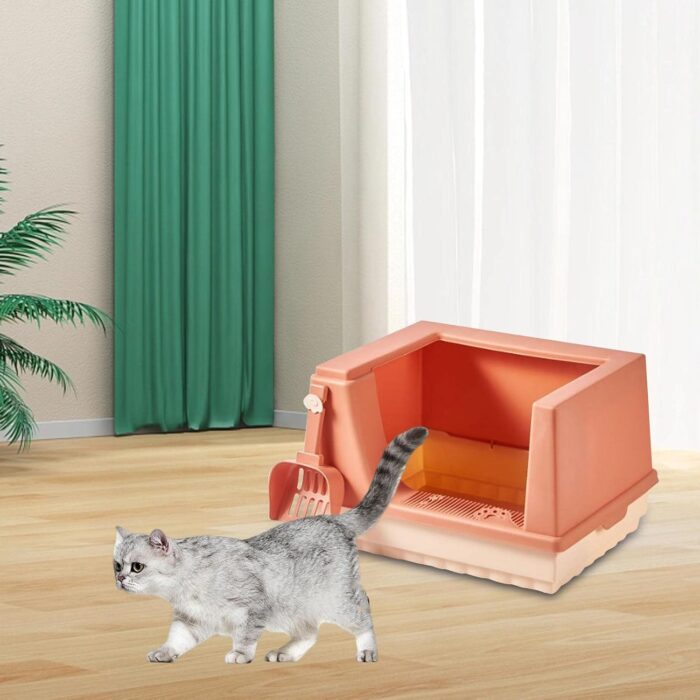 catlit6