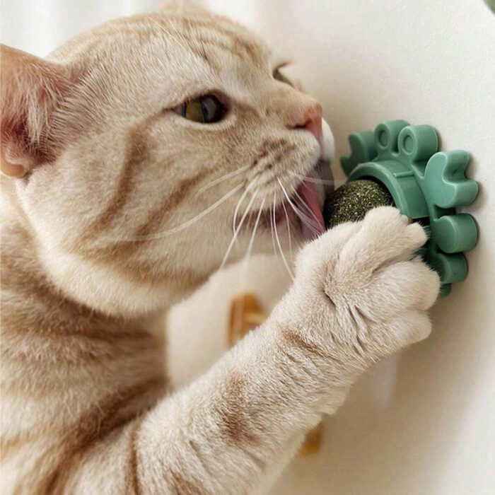 catnipball4
