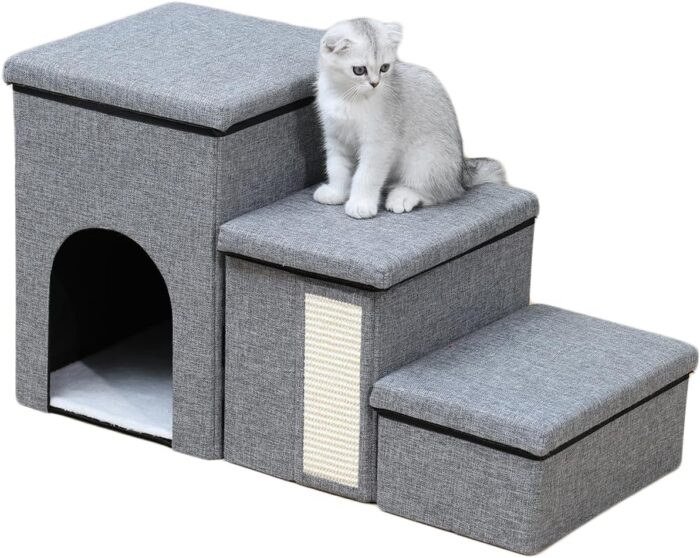 catsteps1