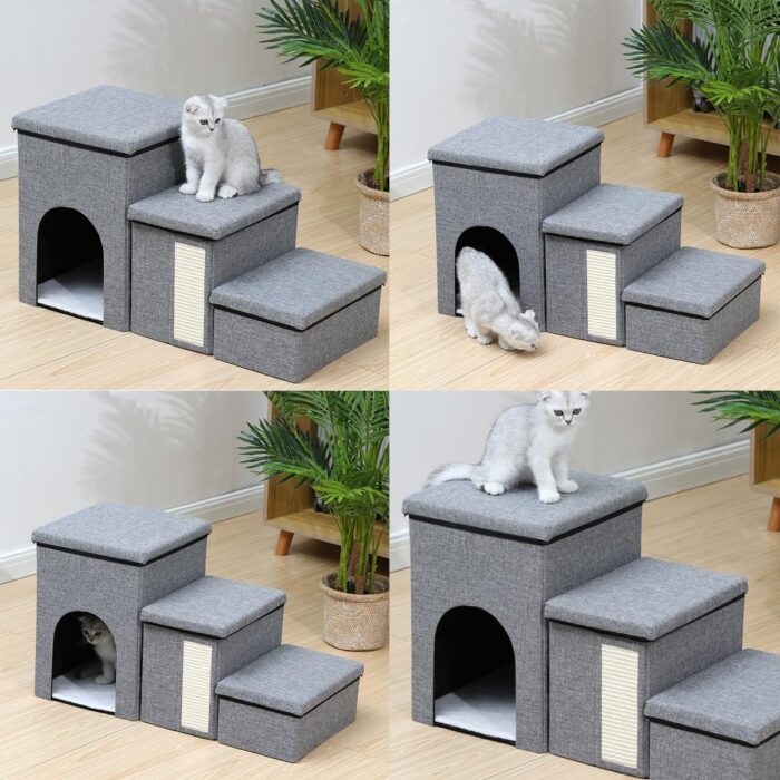 catsteps7